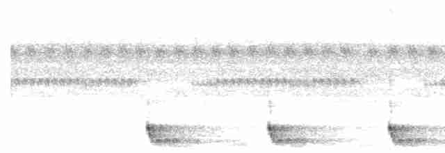 Large-tailed Nightjar - ML488818301