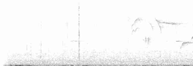 Длиннохвостый крапивник - ML488834161