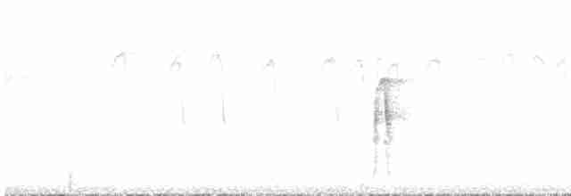 strakapoud americký [skupina harrisi] - ML488852681