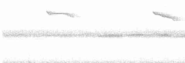 Büyük Komor Sinekkapanı - ML488884871
