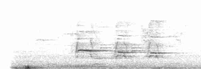 Белокурый дятел-гренадер - ML488892871
