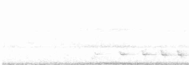 trogon šarlatový - ML488897231