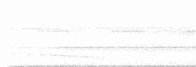 Красногузый трогон - ML488897241