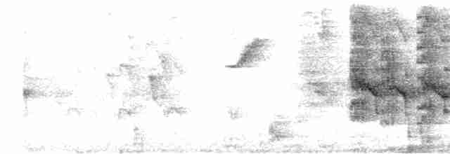 Tirika Papağanı - ML488916611