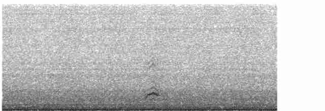 Black-crowned Night-Heron - ML488918981
