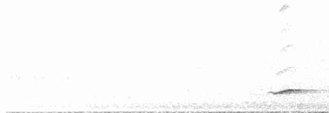 Weißbrauen-Ameisenpitta - ML488968441