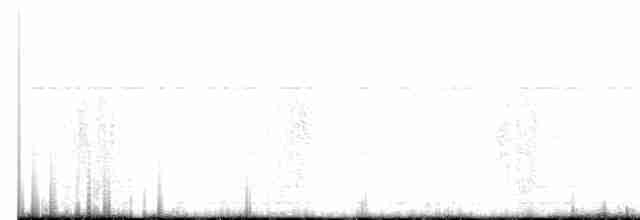 White Ibis - ML489009281