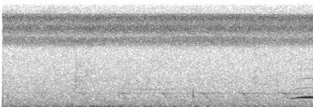 Мурашниця плямиста - ML489011431
