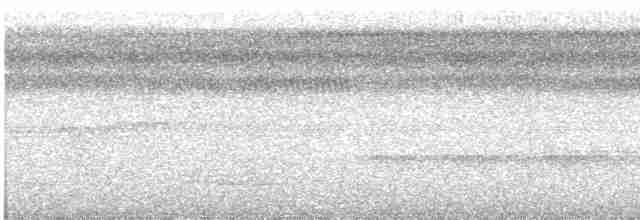Мурашниця плямиста - ML489011441