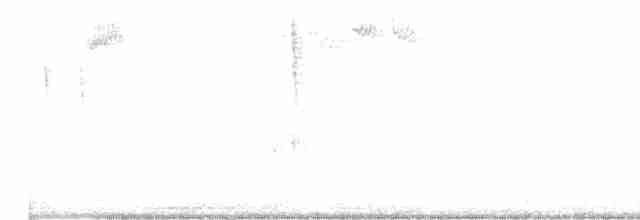 Тихоокеанский крапивник - ML489014231