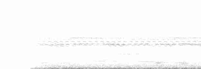 Weißschwanz-Nachtschwalbe - ML489108411