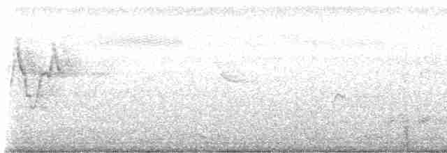 White Wagtail (Chinese) - ML489130281