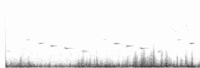 Psophode carillonneur - ML489151601