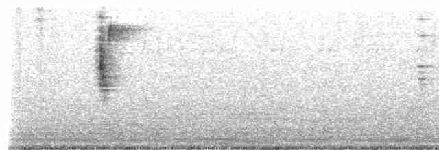 Common Yellowthroat - ML489153231