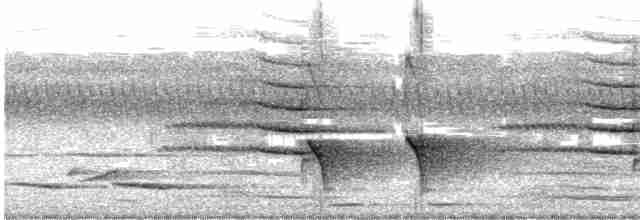 Сверкающий дронго (atrocaeruleus) - ML489191251