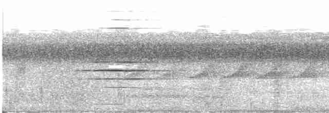 Yıldızlı Drongo (atrocaeruleus) - ML489191261