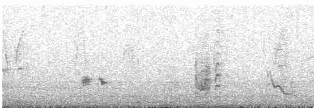חנקן חלוד-גב (שחור -ראש) - ML489205871