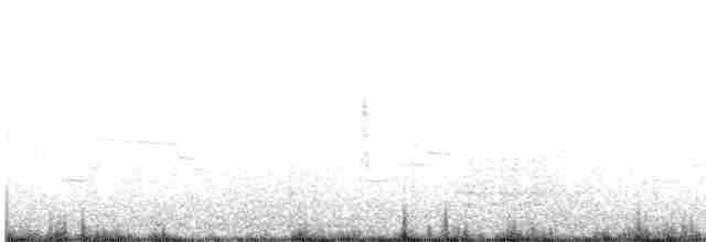 Yellow-rumped Warbler (Myrtle) - ML489218231