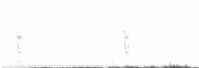 Катуньчик перлистий - ML489242821