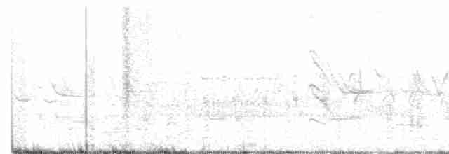 Hirondelle à front blanc - ML489253201