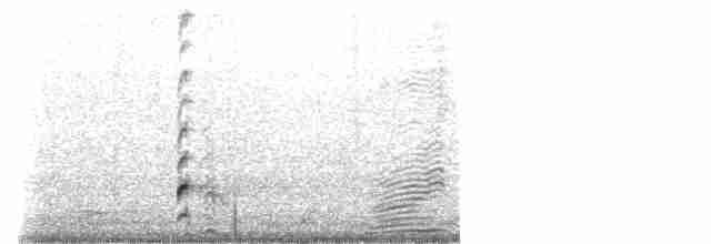 Курочка плямистобока - ML489382971