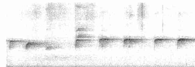 Белокрылая дриада - ML489444621