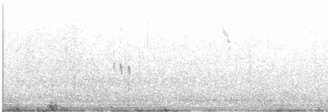 Plectrophane lapon - ML489458501