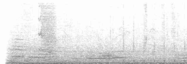 Курочка плямистобока - ML489487011