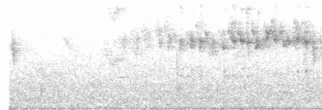 svartbrystalvesmett - ML489497621