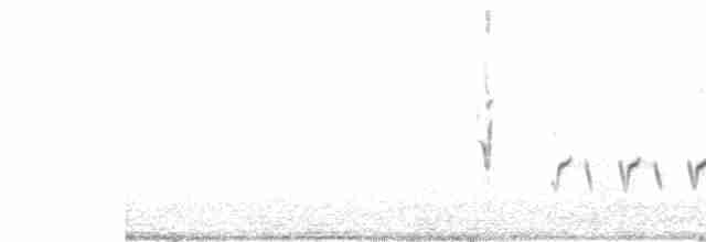 Белохвостая дриада - ML489501031