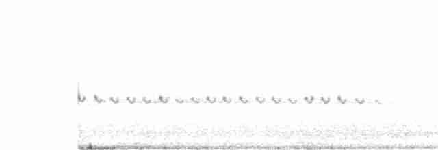 Белохвостая дриада - ML489501041