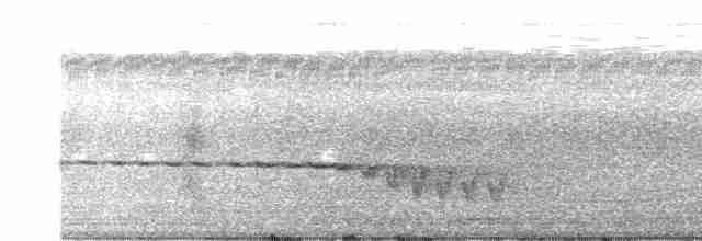 Drab Whistler (Drab) - ML489527111