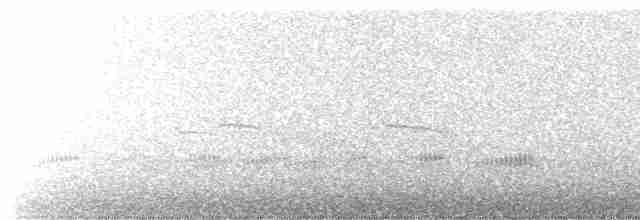 Graumantel-Brillenvogel - ML489528481