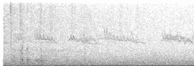 Graumantel-Brillenvogel - ML489536501
