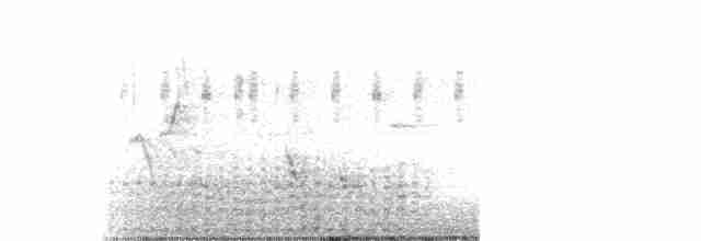 Spotless Crake - ML489537371