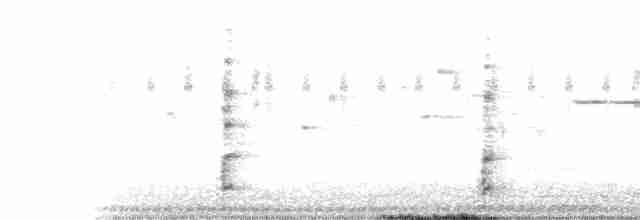 Spotless Crake - ML489537381