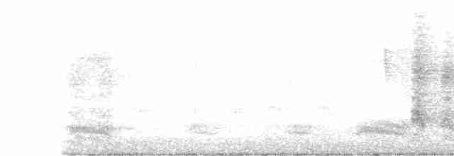 Ошейниковый зимородок - ML489539711