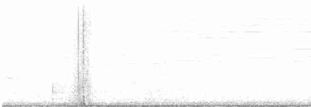 strakapoud americký - ML489600141