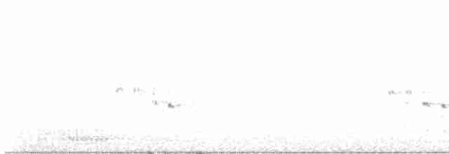 Орлан білоголовий - ML489613331