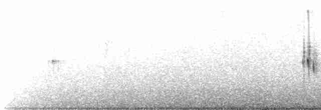 Ластівка білосмуга - ML489625471