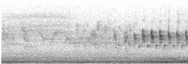 Кропив'янка прудка (підвид curruca/blythi/hamertoni) - ML489671951