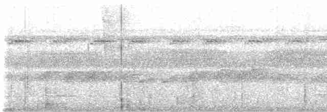 Schwarzschnabel-Ameisenvogel - ML489757151