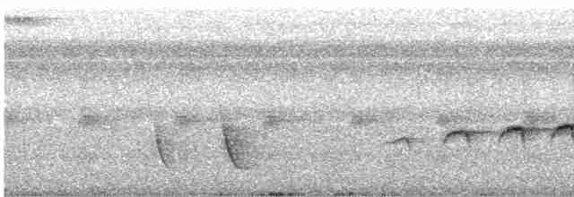Südamazonien-Ameisenschnäpper - ML489758031