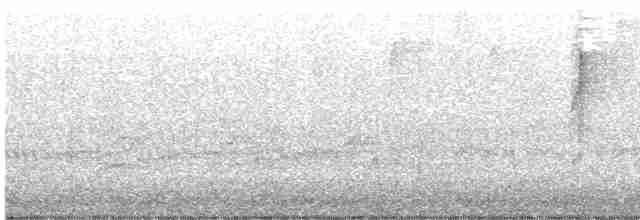 Paruline à gorge grise - ML489777821