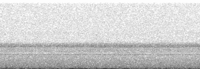 Lyre-tailed Nightjar - ML48978