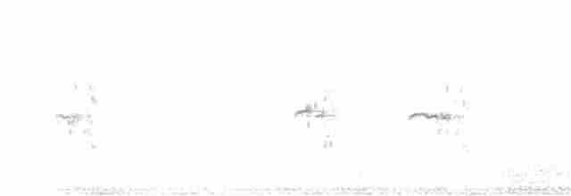 Northern Beardless-Tyrannulet - ML489839321