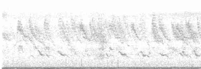 Swinhoe's White-eye - ML489858161
