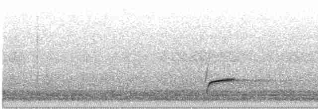 Дрізд-короткодзьоб Cвенсона - ML489874471