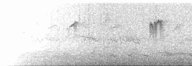Синекрылый травяной попугайчик - ML489910431