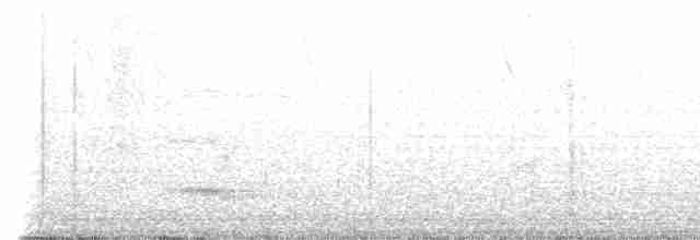 Channel-billed Toucan (Ariel) - ML489913591